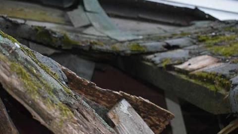 Super Dangerous  - DSC_0771.jpg