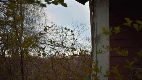 Super Dangerous  - DSC_0768.jpg