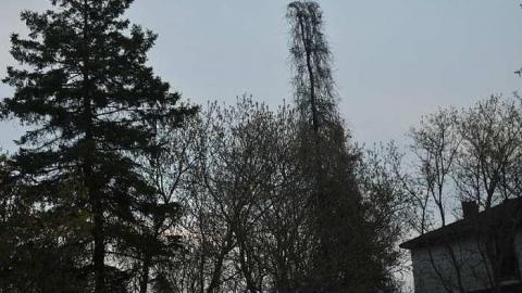 Super Dangerous  - DSC_0783.jpg