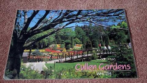 Spiral AA '17 - Out-on-the-Town63.jpg