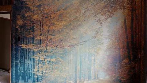 Spiral AA '17 - Out-on-the-Town66.jpg