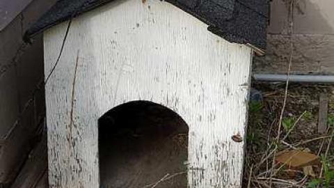 Spiral AA '17 - Out-on-the-Town61.jpg