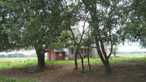 Dances with Wolfe's - Dances-with-Wolfes3.jpg