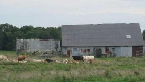 Dances with Wolfe's - Dances-with-Wolfes5.jpg