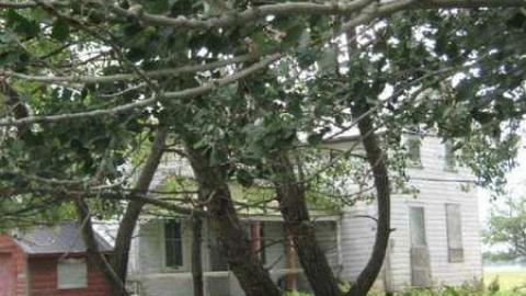 Dances with Wolfe's - Dances-with-Wolfes6.jpg