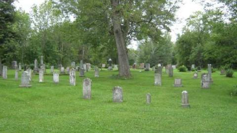 Dances with Wolfe's - Dances-with-Wolfes10.jpg