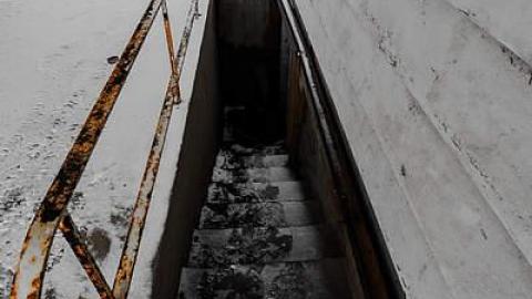 multiple visits - DSC_2596.jpg