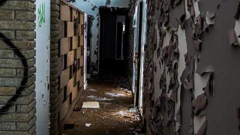 multiple visits - DSC_2602.jpg