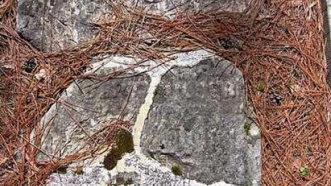 Faithful Friends - Lambs-Pioneer-Cemetery27.jpg