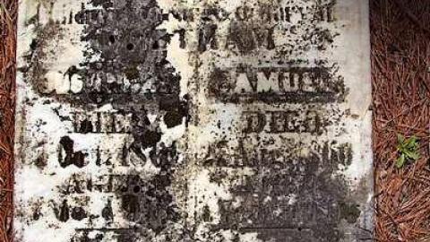 Faithful Friends - Lambs-Pioneer-Cemetery17.jpg