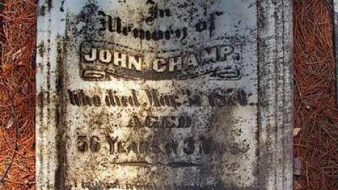 Faithful Friends - Lambs-Pioneer-Cemetery2.jpg