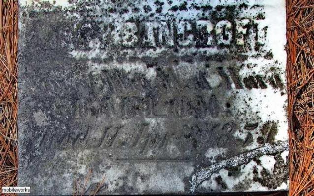 Lambs Pioneer Cemetery photo 5