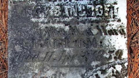 Faithful Friends - Lambs-Pioneer-Cemetery3.jpg