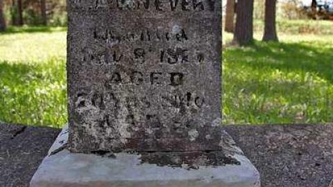 Faithful Friends - Lambs-Pioneer-Cemetery21.jpg