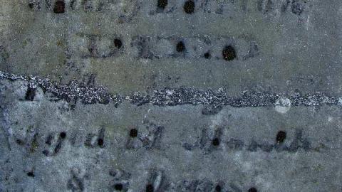 Faithful Friends - Lambs-Pioneer-Cemetery5.jpg