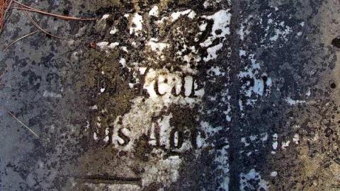 Faithful Friends - Lambs-Pioneer-Cemetery7.jpg