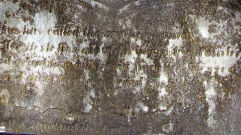 Faithful Friends - Lambs-Pioneer-Cemetery34.jpg