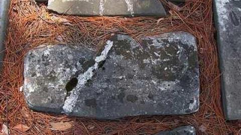 Faithful Friends - Lambs-Pioneer-Cemetery9.jpg