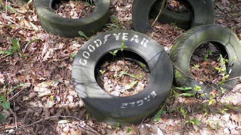 Nature blowing holes in this o - SAM_1099.jpg