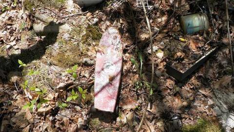 Nature blowing holes in this o - SAM_1100.jpg