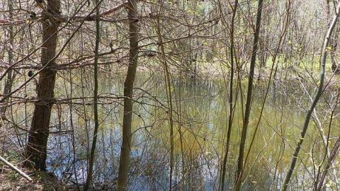 Nature blowing holes in this o - SAM_1103.jpg