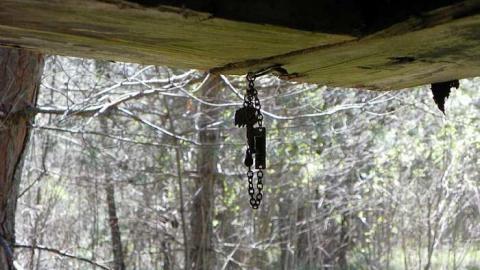 Nature blowing holes in this o - SAM_1110.jpg