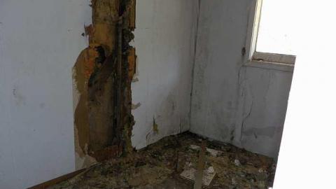 Nature blowing holes in this o - SAM_1112.jpg