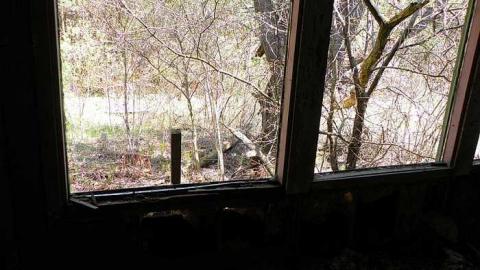 Nature blowing holes in this o - SAM_1114.jpg