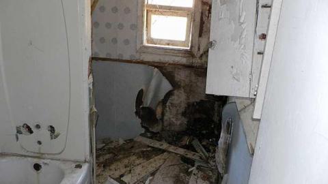 Nature blowing holes in this o - SAM_1117.jpg