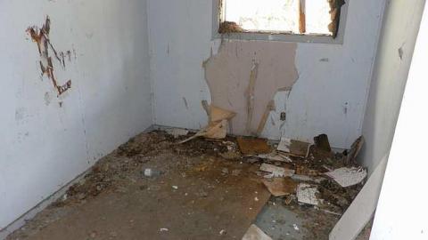 Nature blowing holes in this o - SAM_1120.jpg