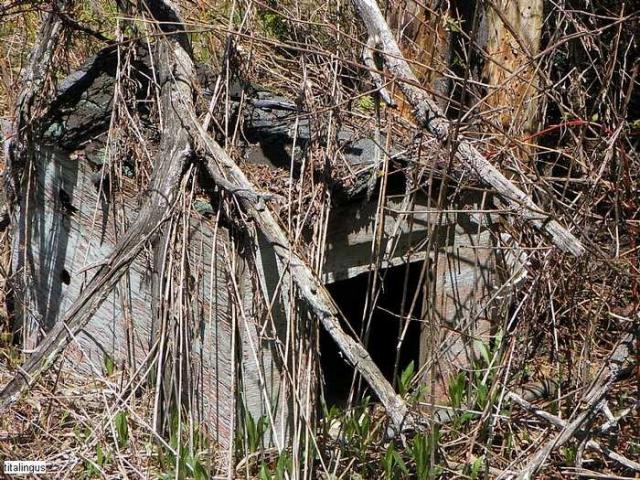 Left to the beaver - Springwater, Ontario