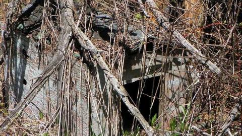 Nature blowing holes in this o - SAM_1121.jpg