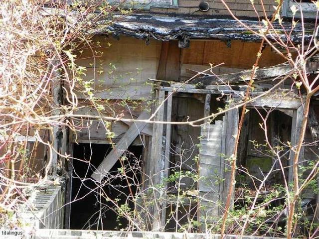 Left to the beaver photo 2