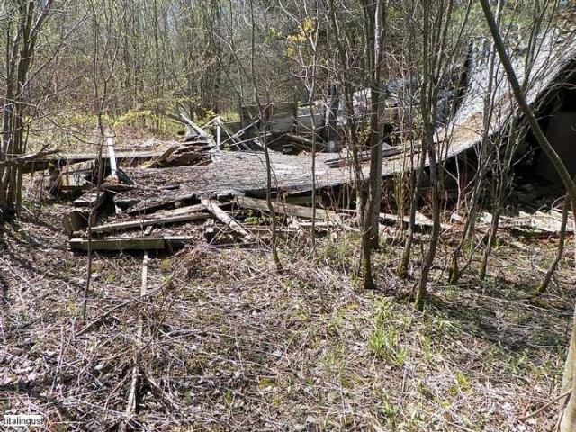 Left to the beaver photo 3