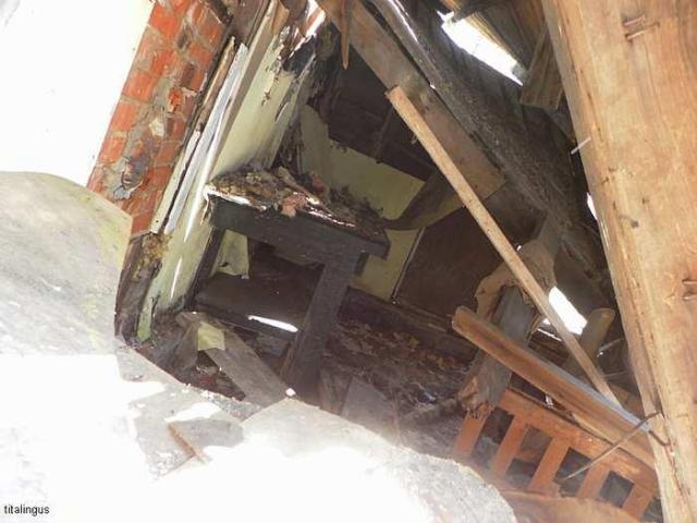 Left to the beaver photo 4