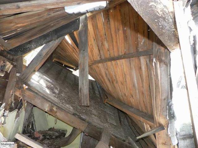 Left to the beaver photo 5