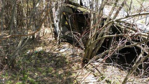 Nature blowing holes in this o - SAM_1127.jpg