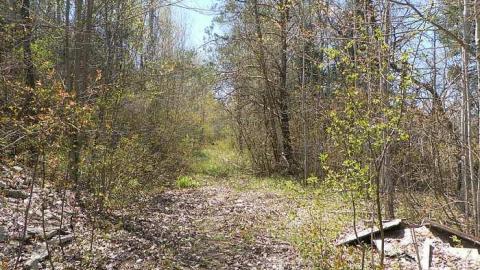 Nature blowing holes in this o - SAM_1130.jpg