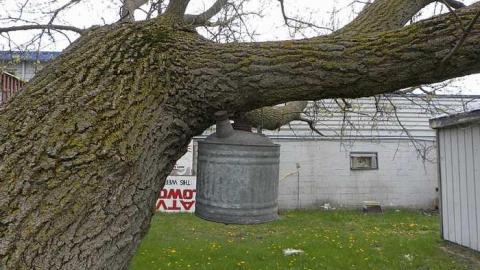 No more emisions - Car-shop4.jpg