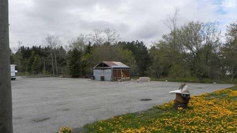 No more emisions - Car-shop22.jpg