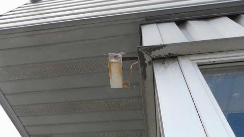 No more emisions - Car-shop8.jpg