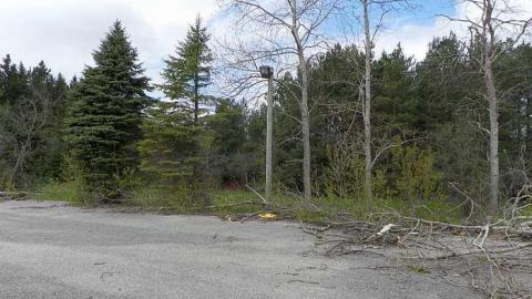 No more emisions - Car-shop15.jpg