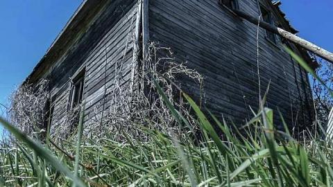 First Visit - Adobe_20170515_134257.jpg