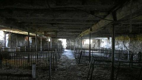 First Visit - Adobe_20170515_133920.jpg