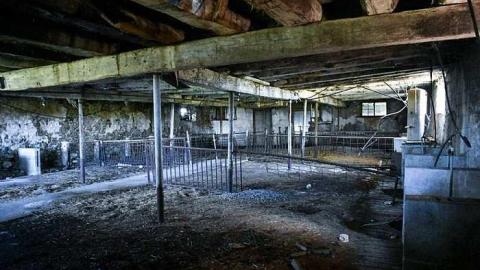 First Visit - Adobe_20170515_133805.jpg