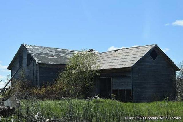 The Cats Meow - Kawartha Lakes, Ontario