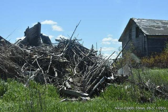 The Cats Meow photo 2