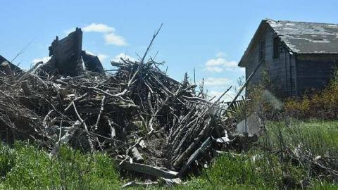 First Visit - DSC_0869.jpg