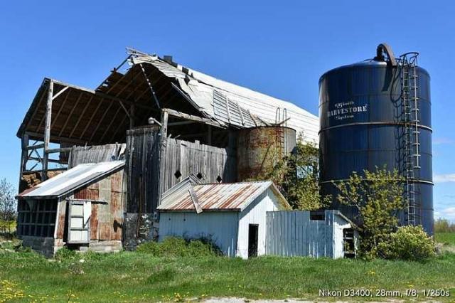 The Cats Meow photo 3