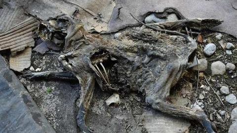 First Visit - DSC_0874.jpg